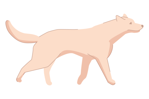 Dog Walking. Cute Pet. Domestic Animal C: A Designer's Guide
