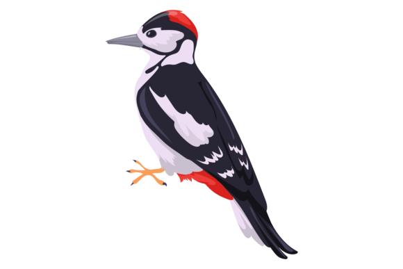 Woodpecker Bird: A Premium Forest Wild Animal Typeface